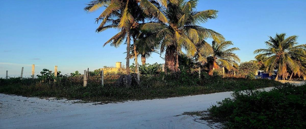 Foto de terreno habitacional en , telchac puerto, telchac puerto, yucatán, 26790312 foto 01 Foto de terreno habitacional en venta en , telchac puerto, telchac puerto, yucatán, 26790312 No. 01