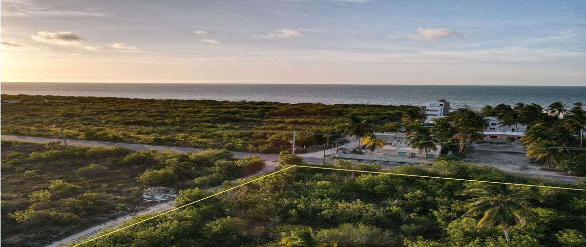 Foto de terreno habitacional en venta en  , telchac puerto, telchac puerto, yucatán, 0 No. 04