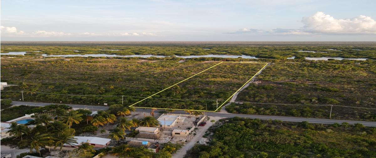 Foto de terreno habitacional en venta en  , telchac puerto, telchac puerto, yucatán, 0 No. 05