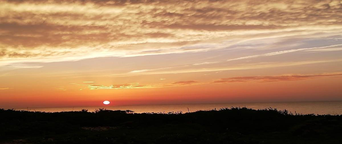 Foto de rancho en venta en  , telchac puerto, telchac puerto, yucatán, 27210755 No. 03