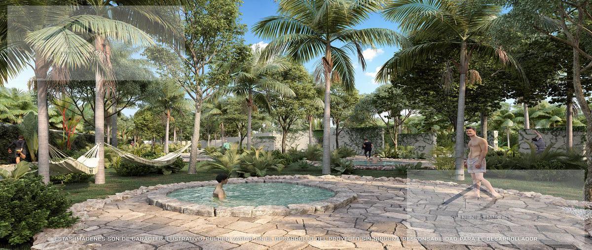 Foto de terreno habitacional en venta en  , telchac puerto, telchac puerto, yucatán, 0 No. 05