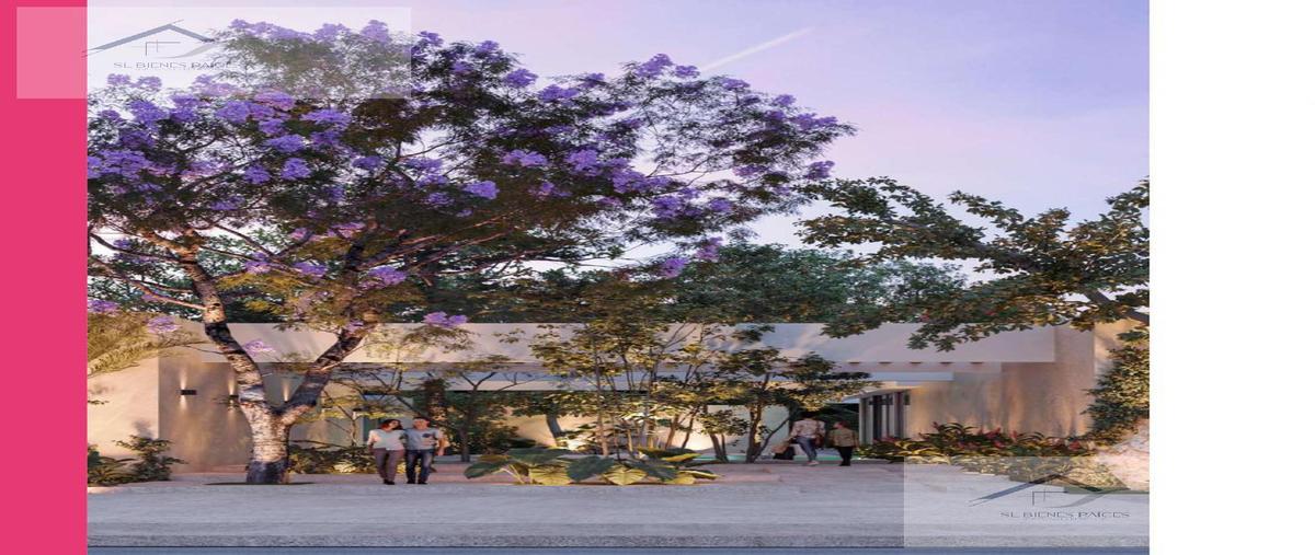 Foto de terreno habitacional en venta en  , telchac puerto, telchac puerto, yucatán, 0 No. 05