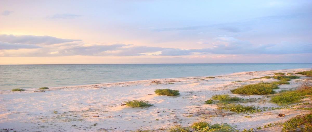 Foto de terreno habitacional en venta en  , telchac puerto, telchac puerto, yucatán, 27690435 No. 04
