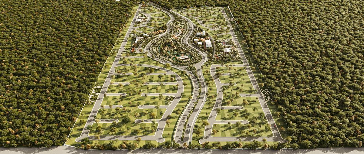Foto de terreno habitacional en venta en  , telchac puerto, telchac puerto, yucatán, 0 No. 05