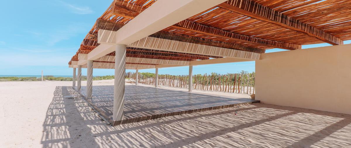 Foto de departamento en venta en  , telchac puerto, telchac puerto, yucatán, 28014908 No. 04