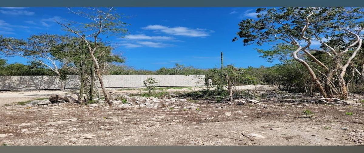 Foto de terreno habitacional en venta en  , telchac puerto, telchac puerto, yucatán, 28096461 No. 03