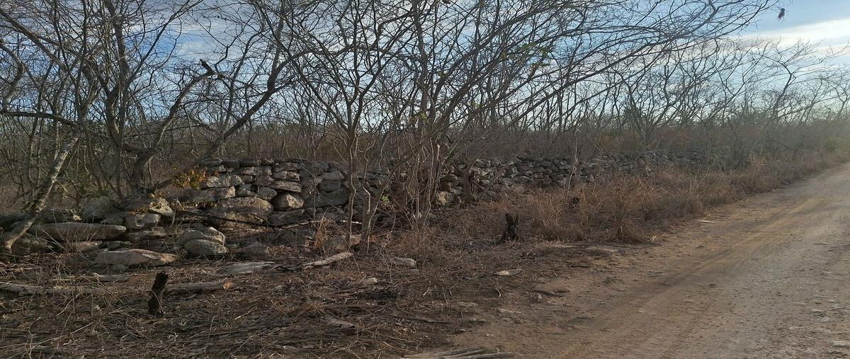 Foto de terreno habitacional en venta en  , telchac puerto, telchac puerto, yucatán, 28152409 No. 03