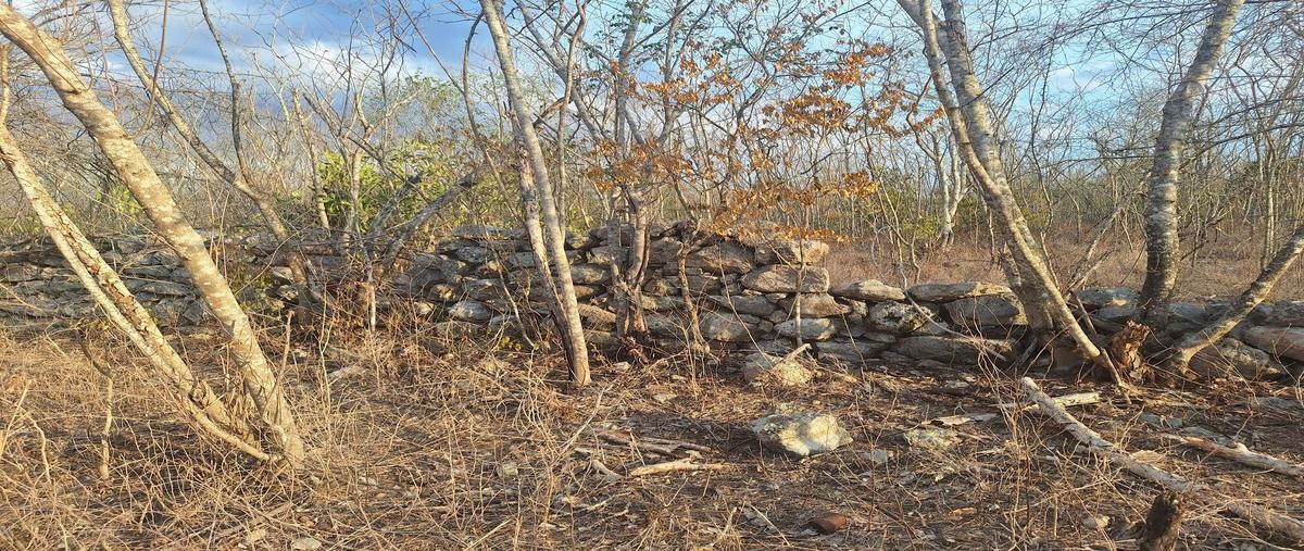 Foto de terreno habitacional en venta en  , telchac puerto, telchac puerto, yucatán, 28152409 No. 04