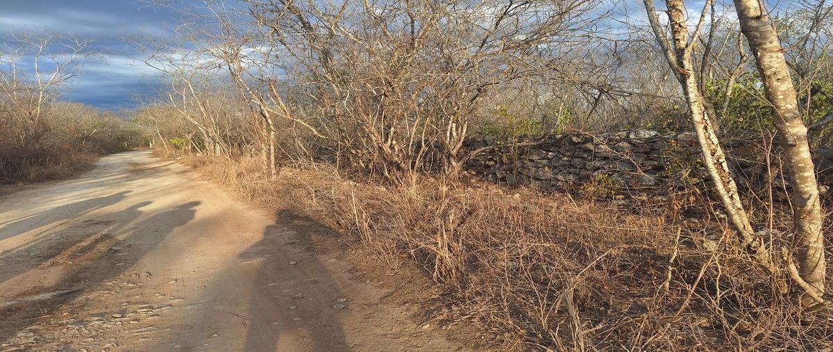 Foto de terreno habitacional en venta en  , telchac puerto, telchac puerto, yucatán, 28152409 No. 05