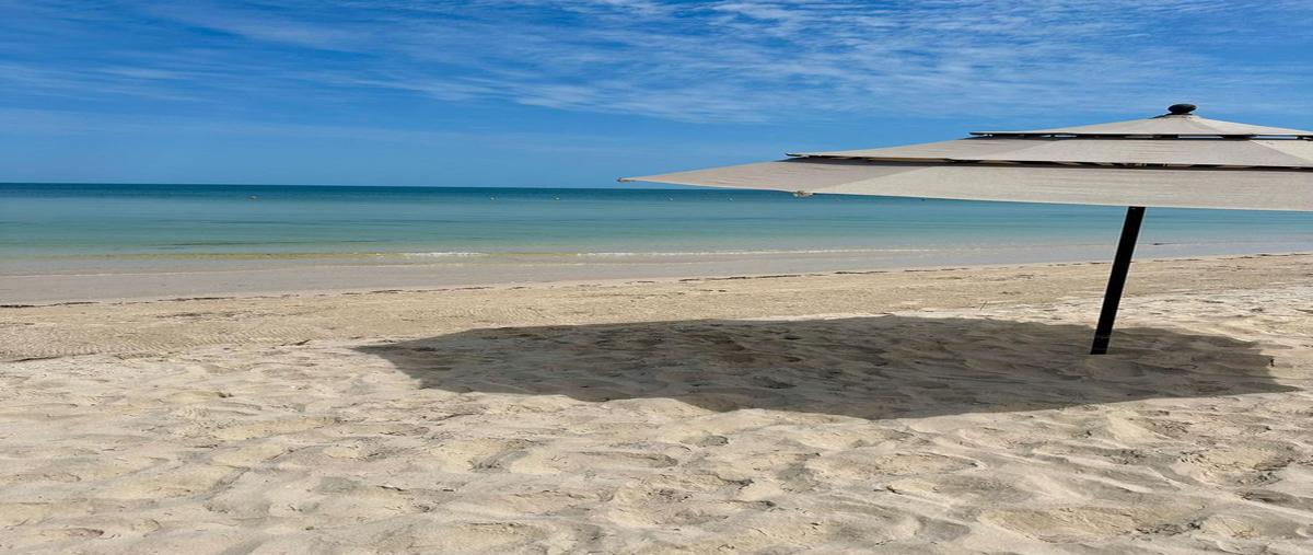 Foto de departamento en venta en  , telchac puerto, telchac puerto, yucatán, 0 No. 04