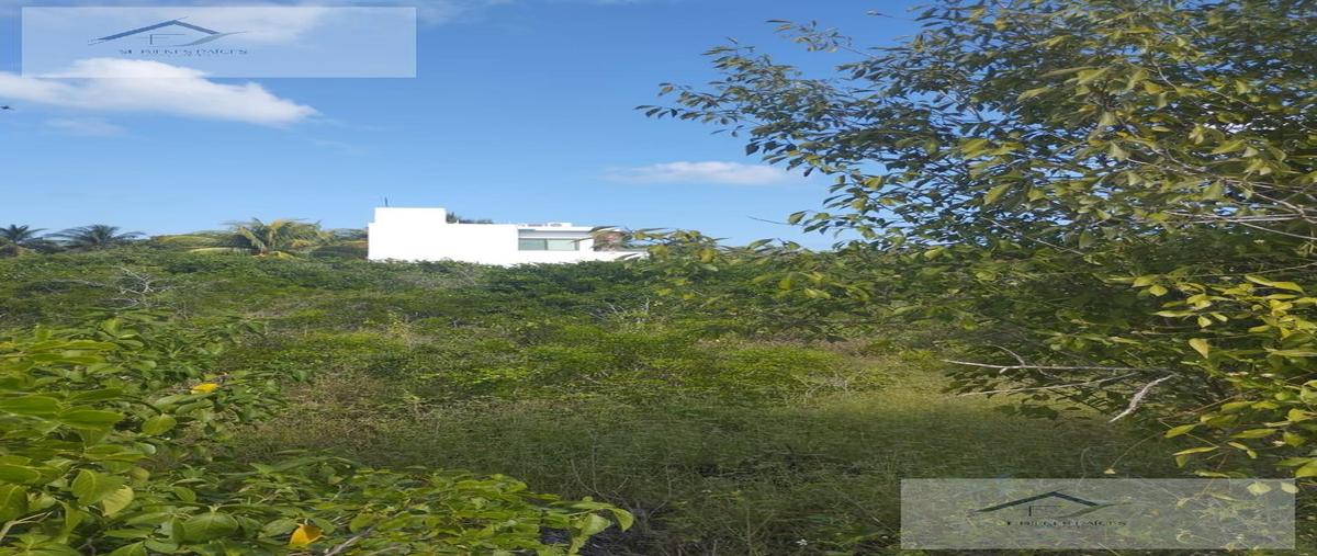 Foto de terreno habitacional en venta en  , telchac puerto, telchac puerto, yucatán, 28456880 No. 03