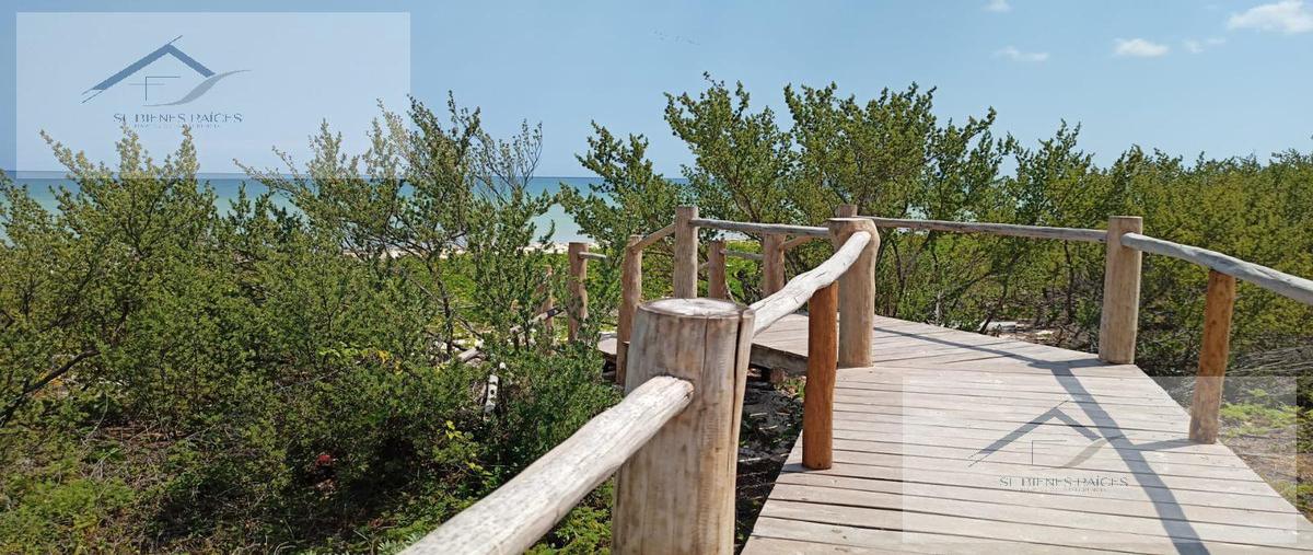 Foto de departamento en venta en  , telchac puerto, telchac puerto, yucatán, 0 No. 05