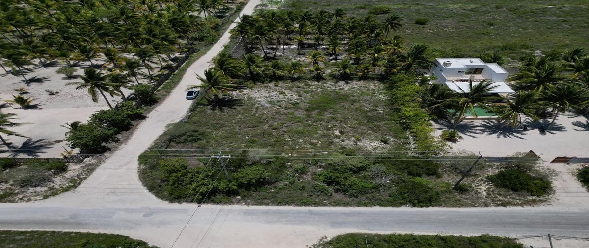 Foto de terreno habitacional en venta en  , telchac puerto, telchac puerto, yucatán, 28844436 No. 03