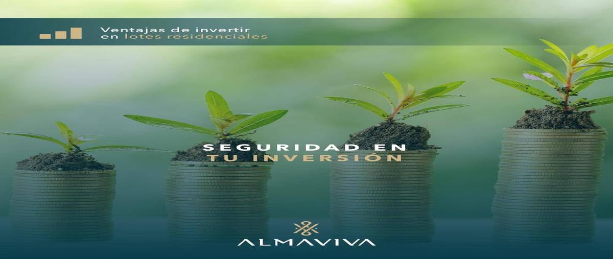 Foto de terreno habitacional en venta en  , telchac puerto, telchac puerto, yucatán, 0 No. 03