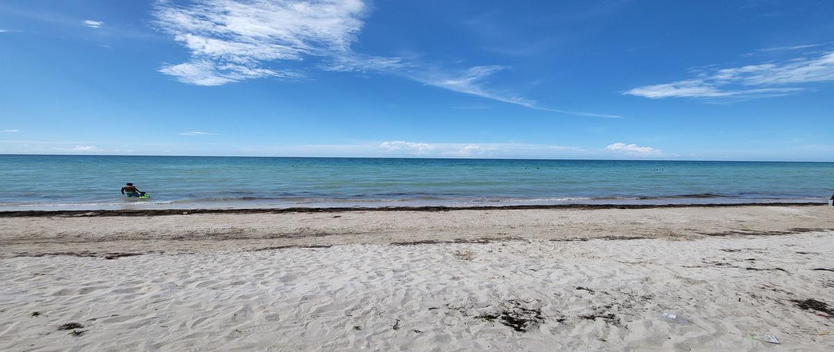 Foto de terreno habitacional en venta en  , telchac puerto, telchac puerto, yucatán, 28946323 No. 05