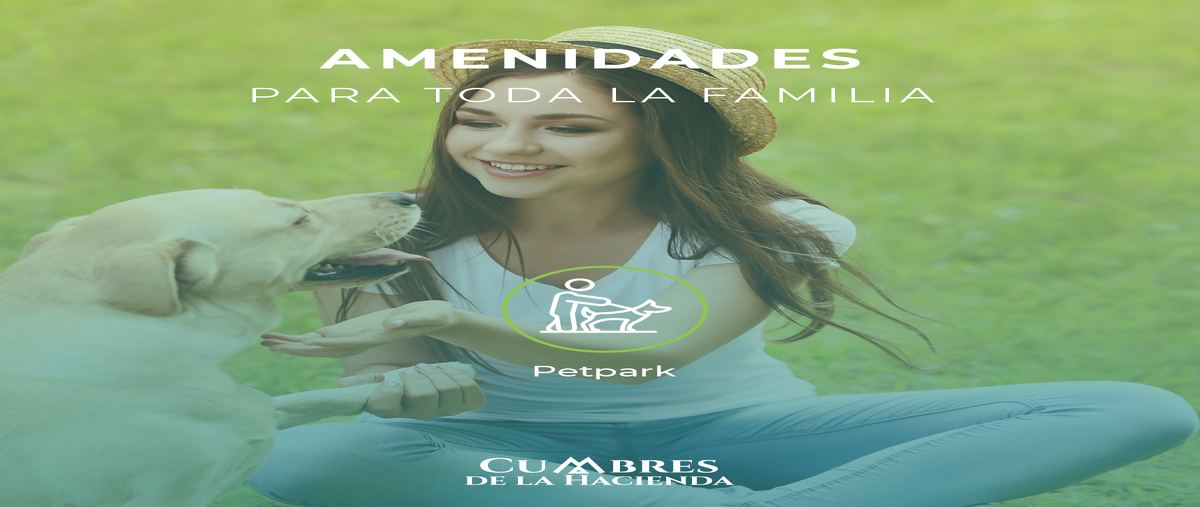 Foto de terreno habitacional en venta en  , telchac puerto, telchac puerto, yucatán, 0 No. 03