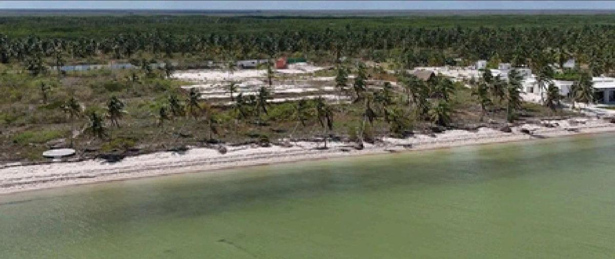 Foto de terreno habitacional en venta en  , telchac puerto, telchac puerto, yucatán, 0 No. 03