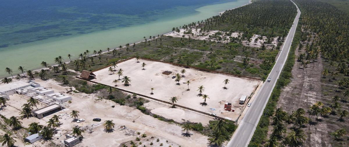 Foto de terreno habitacional en venta en  , telchac puerto, telchac puerto, yucatán, 0 No. 03