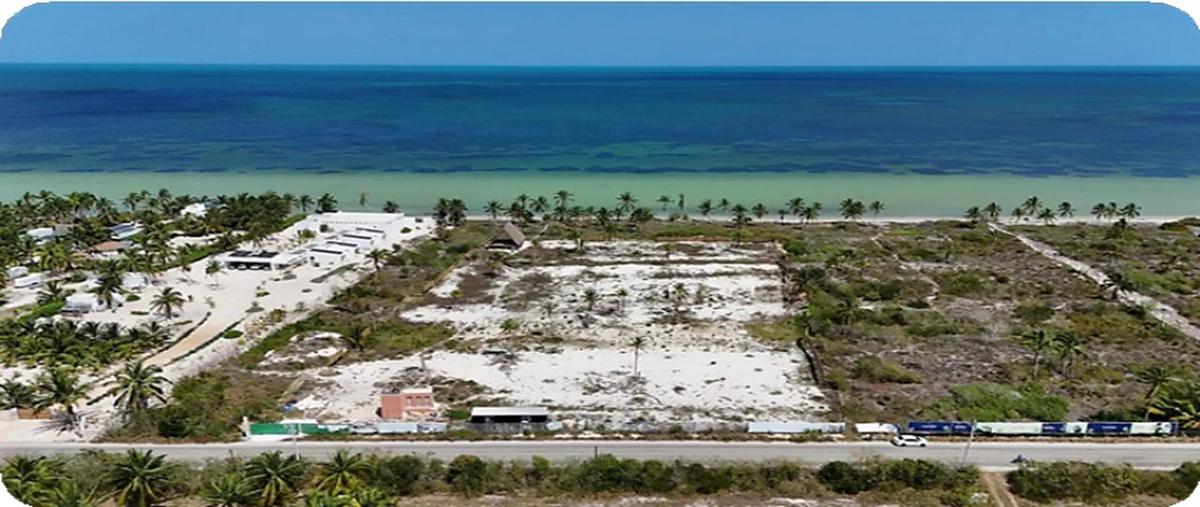 Foto de terreno habitacional en venta en  , telchac puerto, telchac puerto, yucatán, 0 No. 04