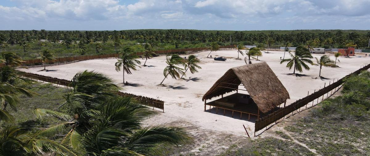 Foto de terreno habitacional en venta en  , telchac puerto, telchac puerto, yucatán, 0 No. 05