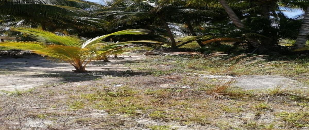 Foto de terreno comercial en venta en  , telchac puerto, telchac puerto, yucatán, 0 No. 03