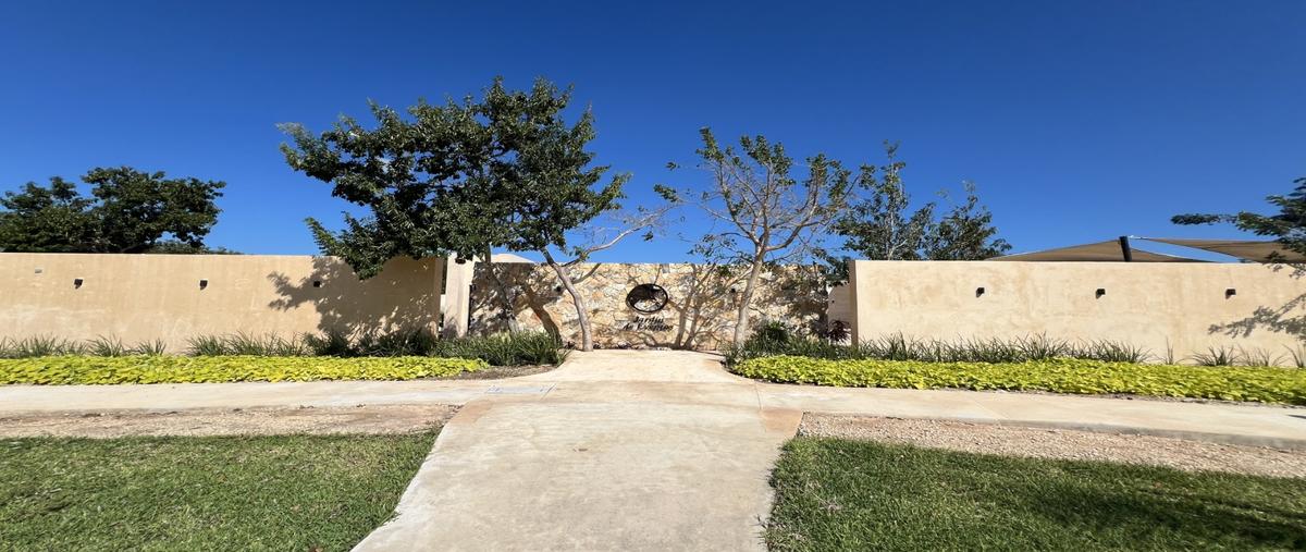 Foto de terreno habitacional en , telchac puerto, telchac puerto, yucatán, 0 foto 03 Foto de terreno habitacional en venta en , telchac puerto, telchac puerto, yucatán, 0 No. 03