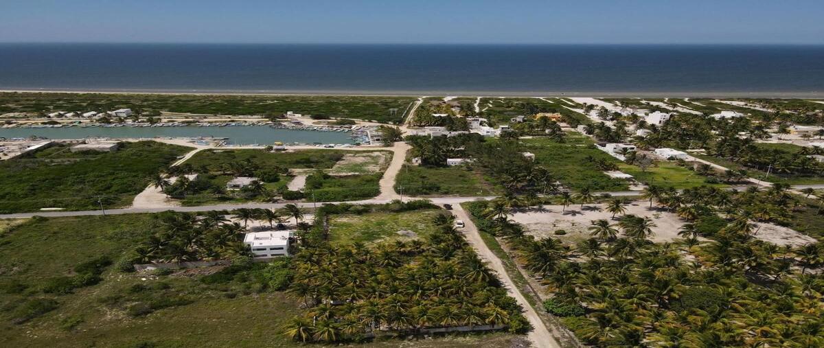 Foto de terreno habitacional en , telchac puerto, telchac puerto, yucatán, 0 foto 03 Foto de terreno habitacional en venta en , telchac puerto, telchac puerto, yucatán, 0 No. 03