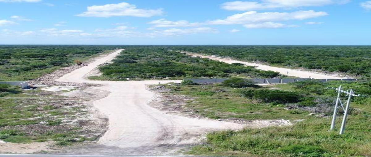 Foto de terreno habitacional en venta en  , telchac puerto, telchac puerto, yucatán, 0 No. 03