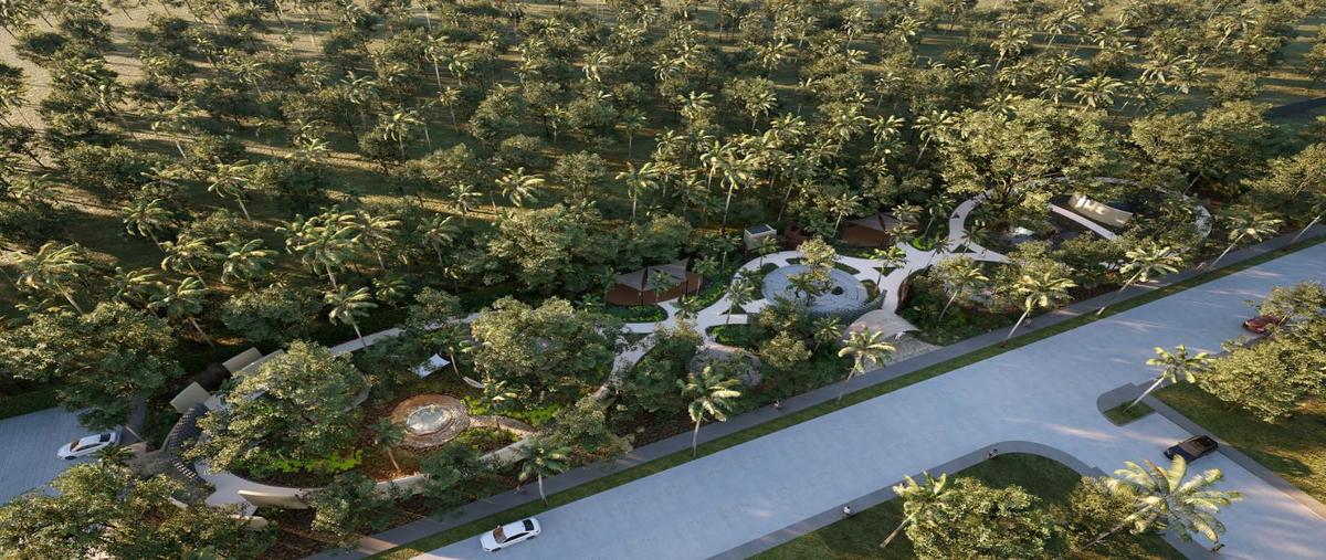 Foto de terreno habitacional en venta en  , telchac puerto, telchac puerto, yucatán, 0 No. 04