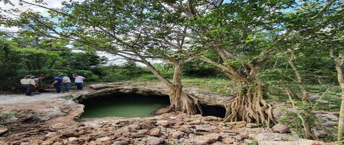 Foto de terreno habitacional en venta en  , telchac puerto, telchac puerto, yucatán, 0 No. 05
