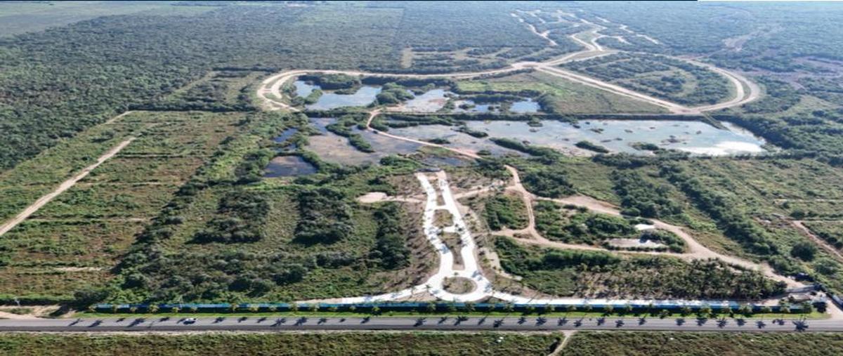 Foto de terreno habitacional en venta en  , telchac puerto, telchac puerto, yucatán, 0 No. 05