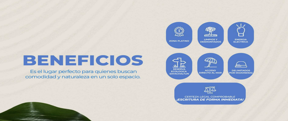 Foto de terreno comercial en venta en  , telchac puerto, telchac puerto, yucatán, 0 No. 05