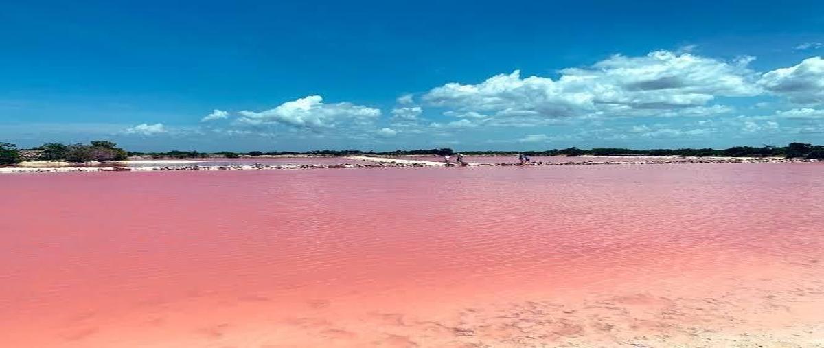 Foto de terreno habitacional en venta en  , telchac puerto, telchac puerto, yucatán, 0 No. 03