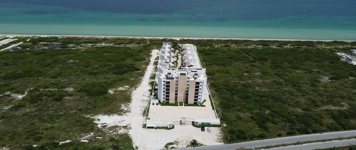 Foto de departamento en , telchac puerto, telchac puerto, yucatán, 30000658 foto 02 Foto de departamento en venta en , telchac puerto, telchac puerto, yucatán, 30000658 No. 02