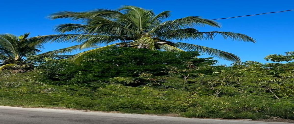 Foto de terreno habitacional en venta en  , telchac puerto, telchac puerto, yucatán, 0 No. 03