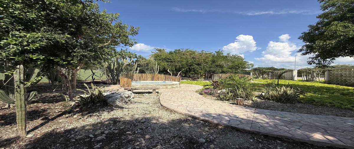 Foto de terreno habitacional en venta en  , telchac puerto, telchac puerto, yucatán, 30390459 No. 03