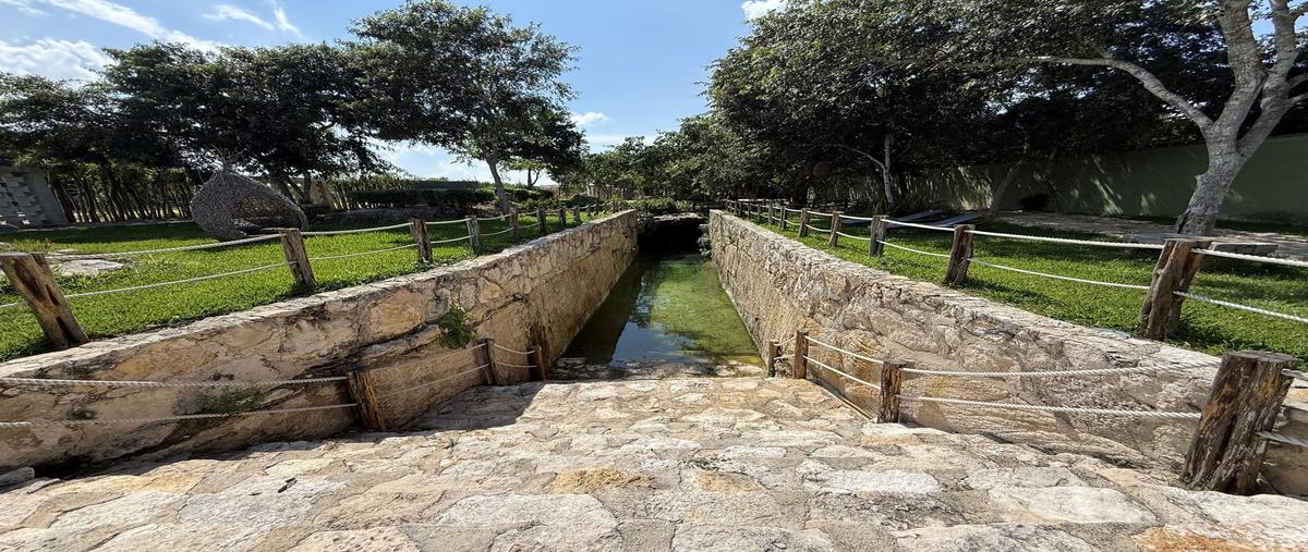 Foto de terreno habitacional en venta en  , telchac puerto, telchac puerto, yucatán, 30390459 No. 04