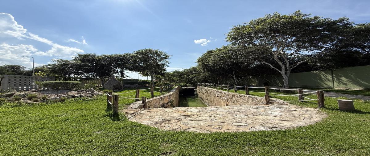 Foto de terreno habitacional en venta en  , telchac puerto, telchac puerto, yucatán, 30412017 No. 05