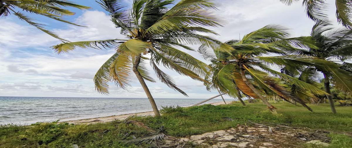 Foto de terreno habitacional en venta en  , telchac puerto, telchac puerto, yucatán, 0 No. 04