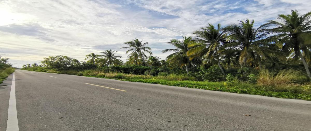 Foto de terreno habitacional en venta en  , telchac puerto, telchac puerto, yucatán, 0 No. 05