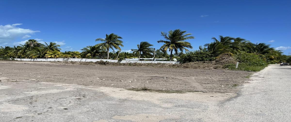 Foto de terreno habitacional en venta en  , telchac puerto, telchac puerto, yucatán, 0 No. 04
