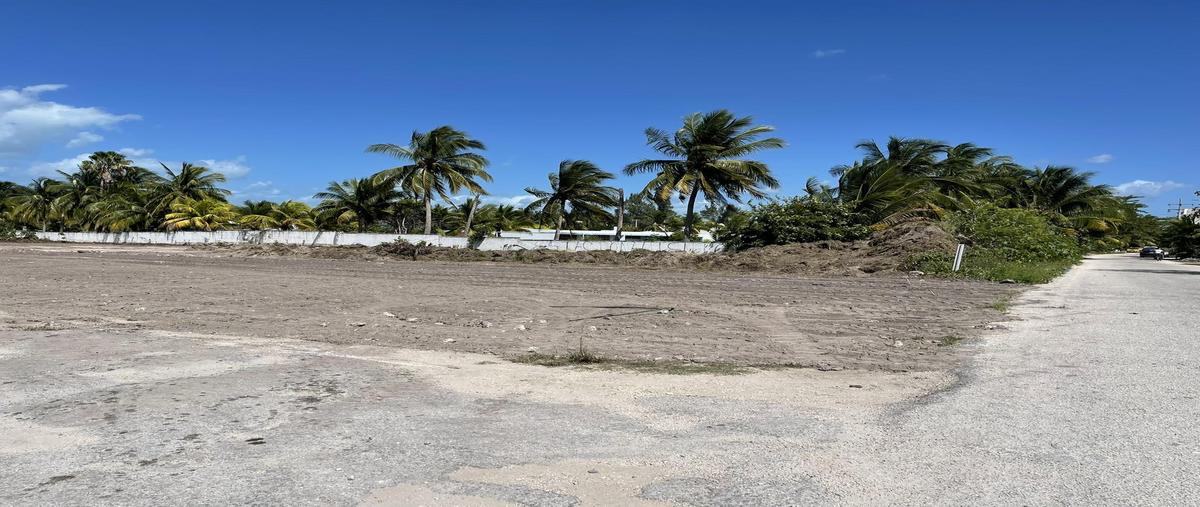 Foto de terreno habitacional en venta en  , telchac puerto, telchac puerto, yucatán, 0 No. 05