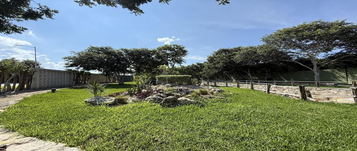 Foto de terreno habitacional en venta en  , telchac puerto, telchac puerto, yucatán, 0 No. 04