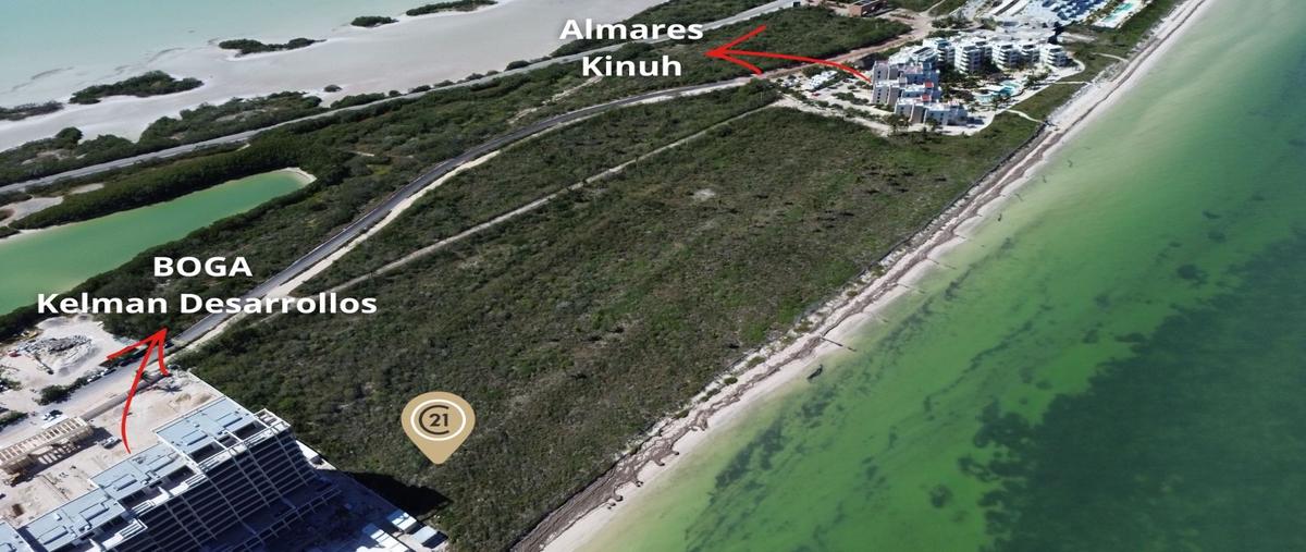 Foto de terreno habitacional en venta en  , telchac puerto, telchac puerto, yucatán, 0 No. 03
