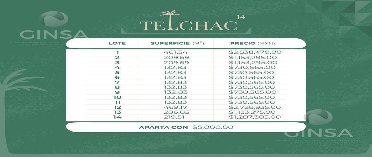 Foto de terreno habitacional en venta en  , telchac puerto, telchac puerto, yucatán, 0 No. 05