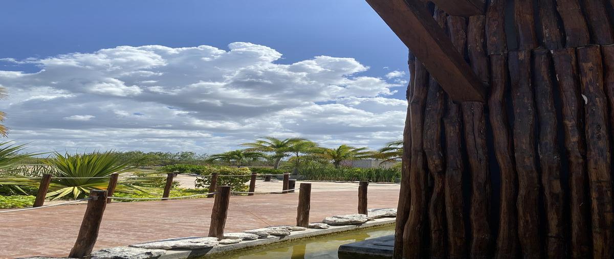 Foto de terreno habitacional en venta en  , telchac puerto, telchac puerto, yucatán, 0 No. 04
