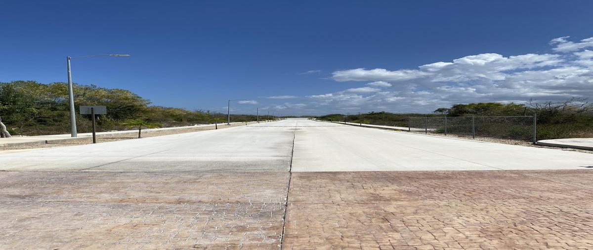 Foto de terreno habitacional en venta en  , telchac puerto, telchac puerto, yucatán, 31001802 No. 05