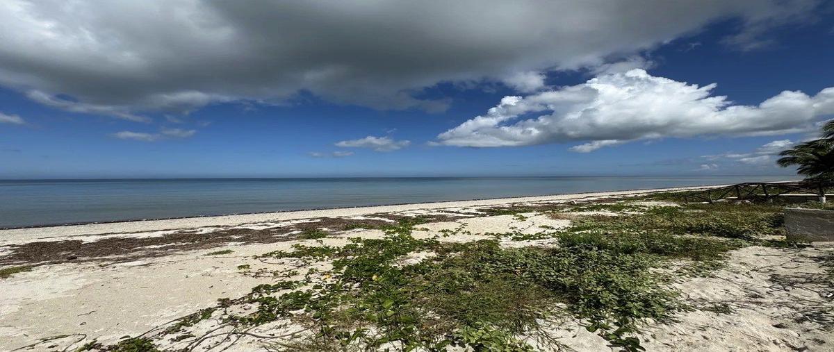 Foto de terreno habitacional en venta en  , telchac puerto, telchac puerto, yucatán, 0 No. 05