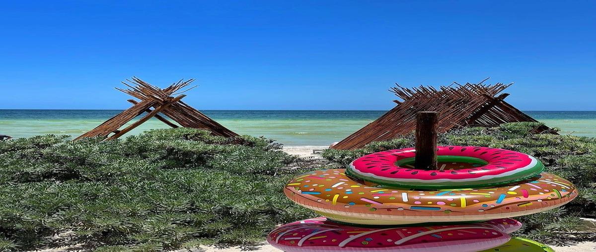 Foto de terreno habitacional en venta en  , telchac puerto, telchac puerto, yucatán, 0 No. 10