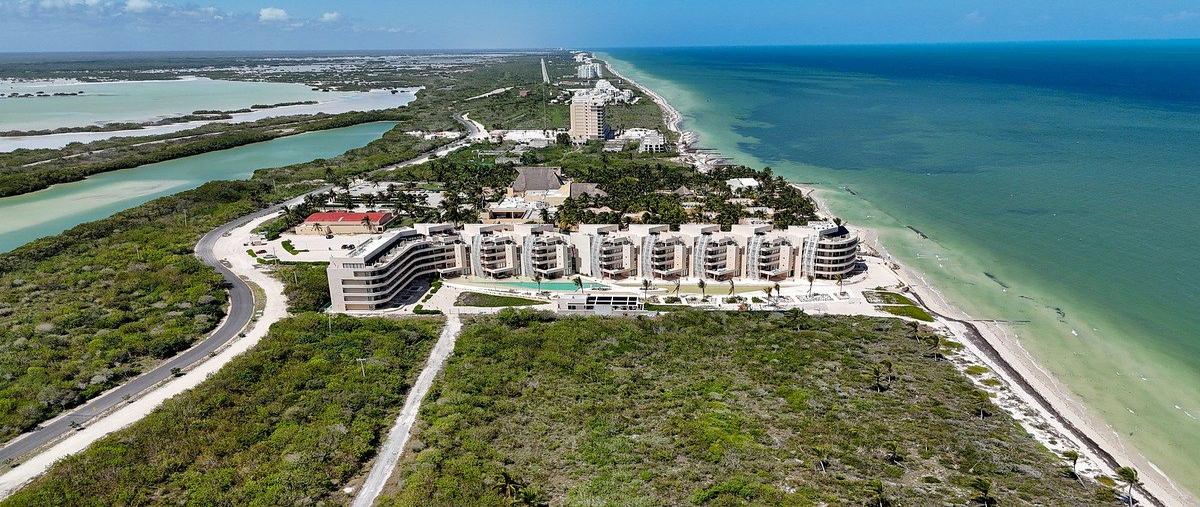 Foto de departamento en venta en . , telchac puerto, telchac puerto, yucatán, 0 No. 03